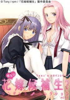 Poster Tony's Heroine Series: Kanojo wa Hanayome Kouhosei? Cinderella Collection Sub Indo