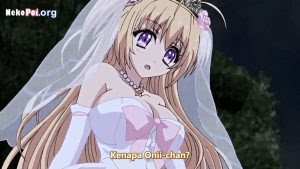 Thumbnail Baka na Imouto wo Rikou ni Suru no wa Ore no xx dake na Ken ni Tsuite Episode 4