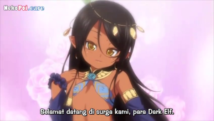 Thumbnail Tsurupeta Shugo Kishi Elfina Ochiru Episode 2